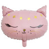 M VZ Шар (19"/48 см) Фигура, Кошка в короне голова розовая, 1 шт.