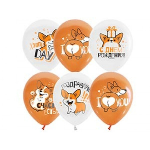 MP 12"/30см WHITE&ORANGE 1 ст. 2 цв. рис. Корги СДР 25шт
